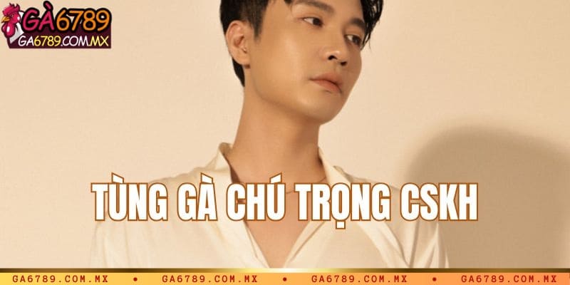 Dịch vụ chăm sóc khách hàng