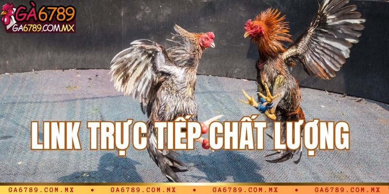 Link chất lượng và đường truyền ổn định