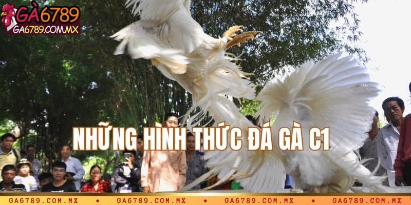 Những hình thức đá gà C1 được trực tiếp
