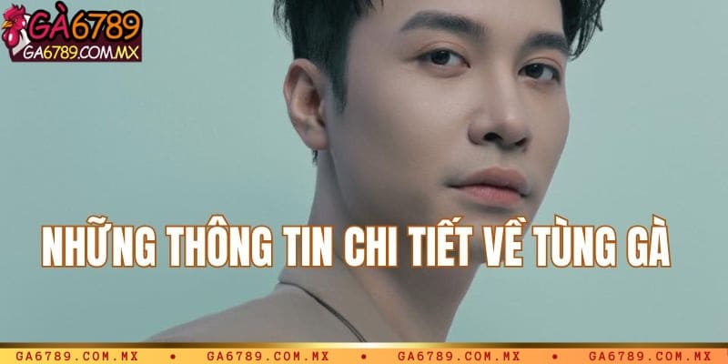 Những thông tin giới thiệu về Tùng Gà