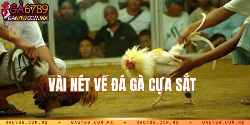 Vài nét về đá gà cựa sắt